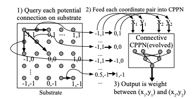 This figure from the HyperNEAT paper describes the process: (1) Every potential connection in the substrate is queried to determine its presence and weight; the dark directed lines shown in the substrate represent a sample of connections that are queried. (2) For each query, the CPPN takes as input the positions of the two endpoints and (3) outputs the weight of the connection between them. After all connections are determined, a pattern of connections and connection-weights results that is a function of the geometry of the substrate. In this way, connective CPPNs produce regular patterns of connections in space.